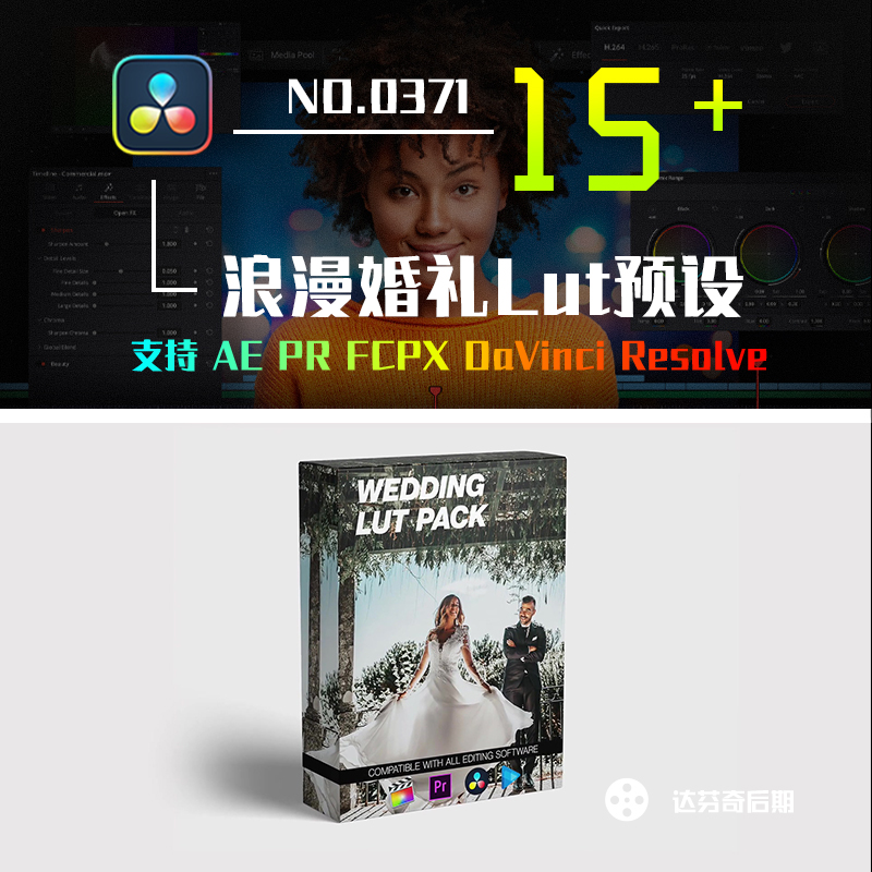 0371_15款浪漫婚礼跟拍通透清新明亮人像Lut滤镜预设 pr fcpx 达芬奇
