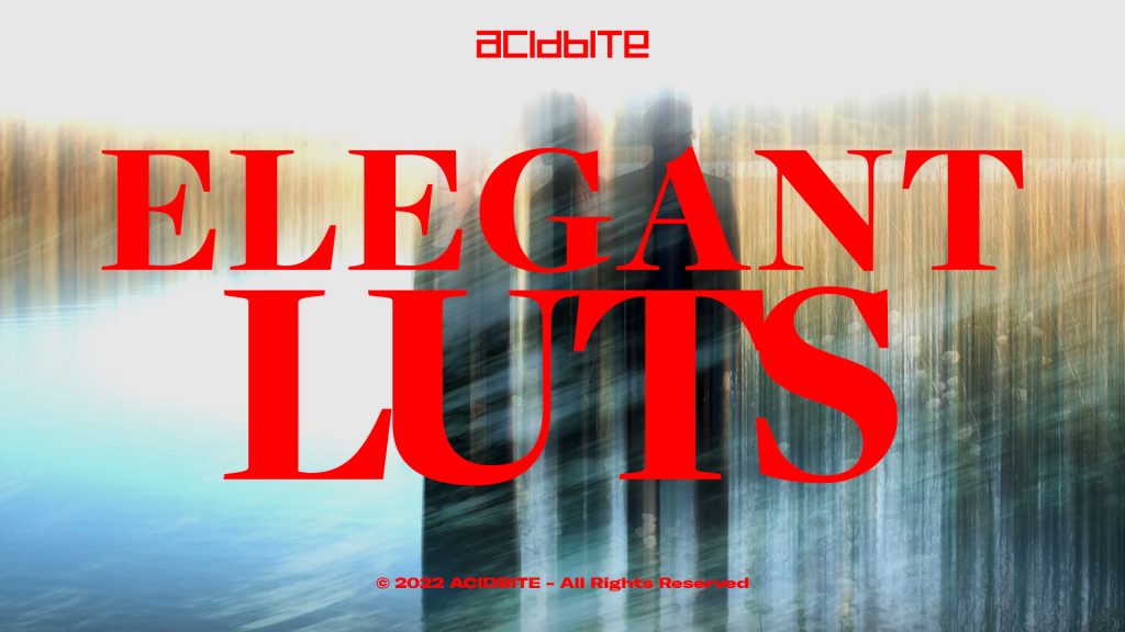 0591_Acidbite 556款优雅唯美柔光婚礼视频风格化调色预设Elegant Luts