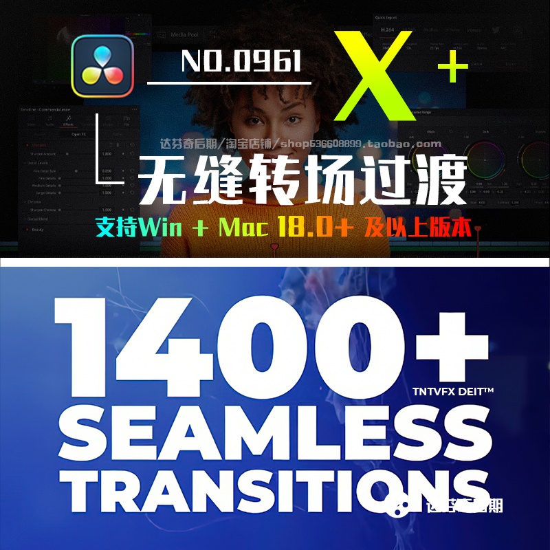 0961_达芬奇转场预设1400款平滑透视翻转缩放过渡Seamless Transitions