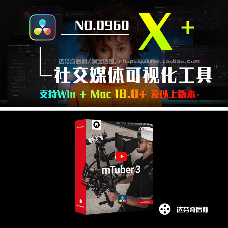 0962_达芬奇RSMB动态运动模糊插件 ReelSmart MotionBlur仅支持Win中文