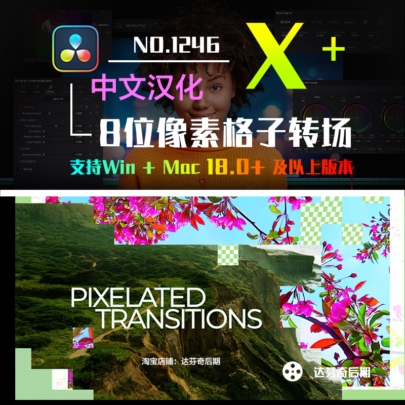 1246_达芬奇插件抽象8位像素格子游戏效果转场Pixel 8-bit Transitions
