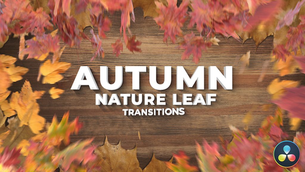 1382_达芬奇插件秋季自然落叶转场唯美枫叶飘落场景元素 Autumn Leaf